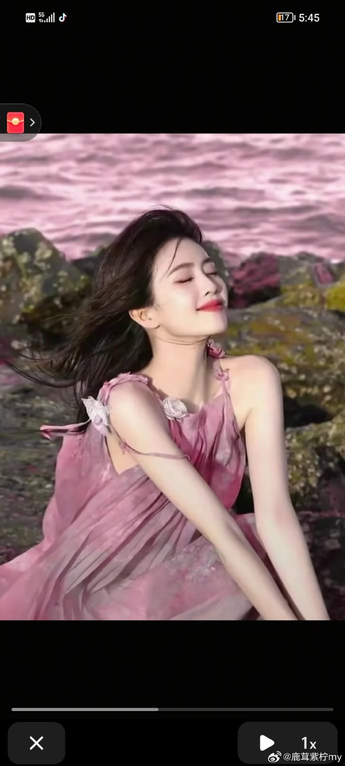 LoseLife下载兔子官网正版推荐